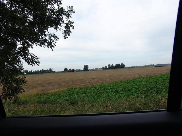 DSC06269