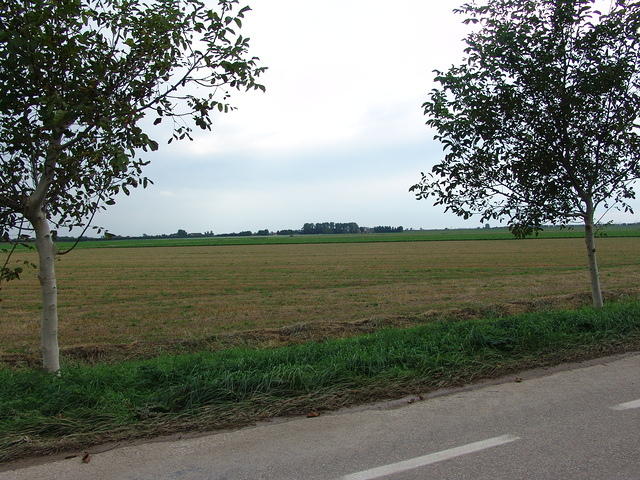 DSC06270