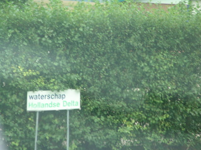 DSC06303