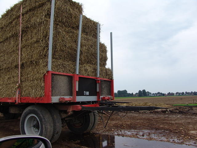 DSC06307
