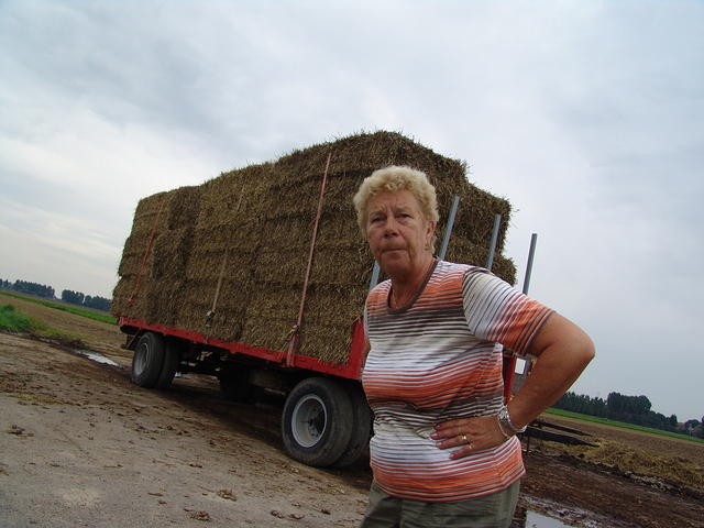 DSC06311