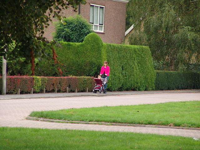 DSC06339