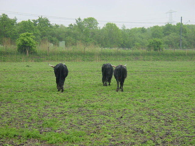 DSC02874.JPG