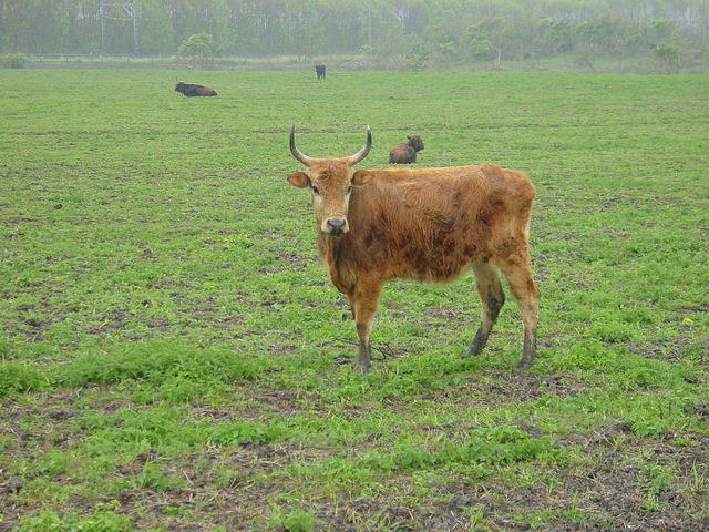 DSC02877.JPG
