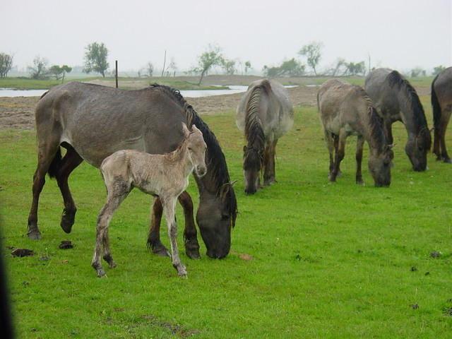 DSC02878.JPG