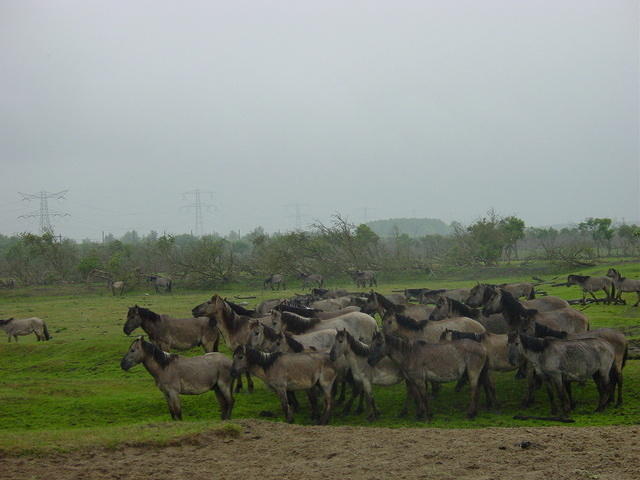 DSC02880.JPG