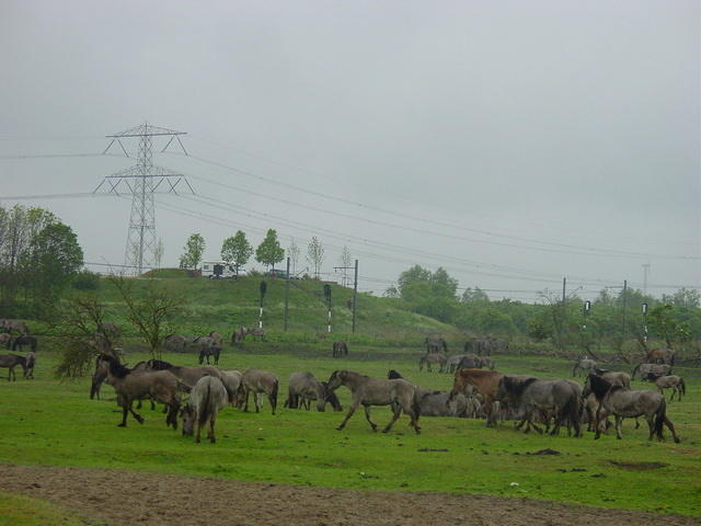 DSC02881.JPG