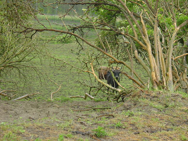 DSC02884.JPG