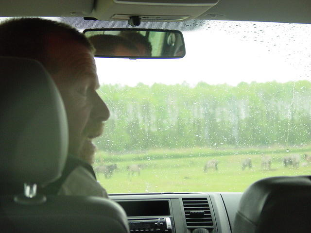 DSC02886.JPG