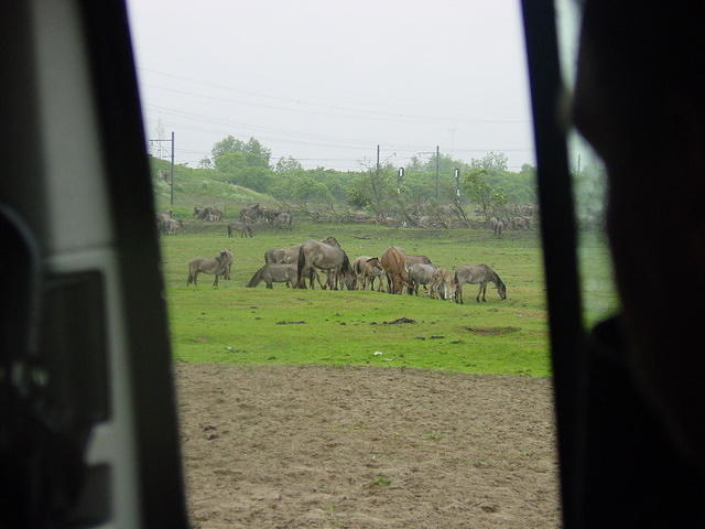 DSC02887.JPG