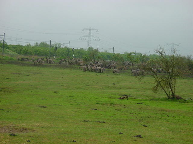 DSC02888.JPG
