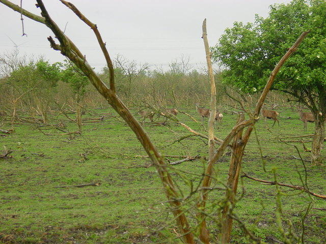 DSC02890.JPG