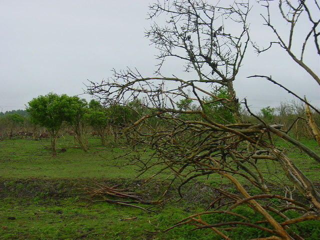 DSC02892.JPG