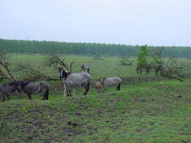 DSC02895.JPG