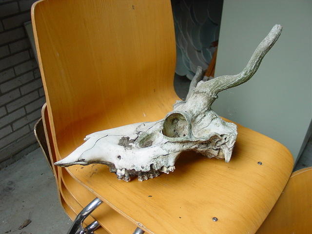 DSC02900.JPG