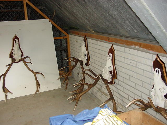 DSC02902.JPG