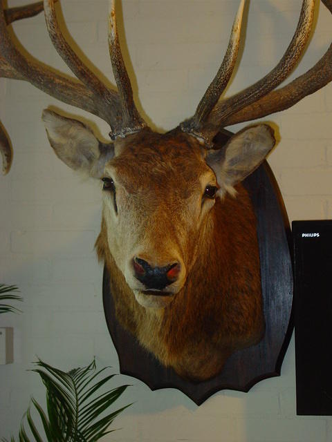 DSC02903.JPG