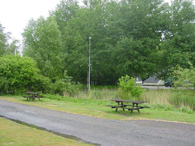 DSC02908.JPG