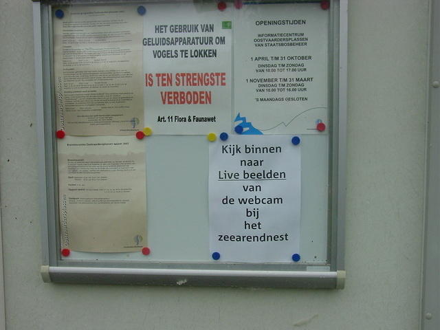 DSC02909.JPG