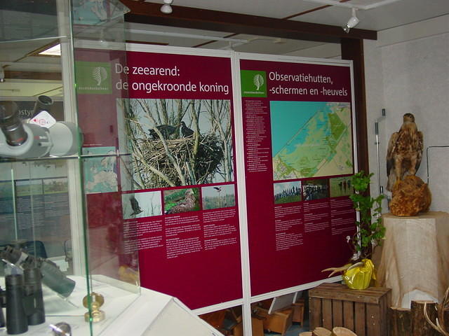 DSC02910.JPG