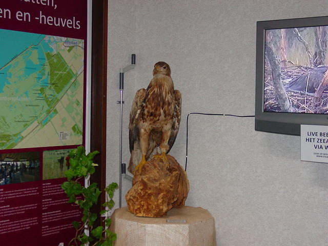 DSC02913.JPG