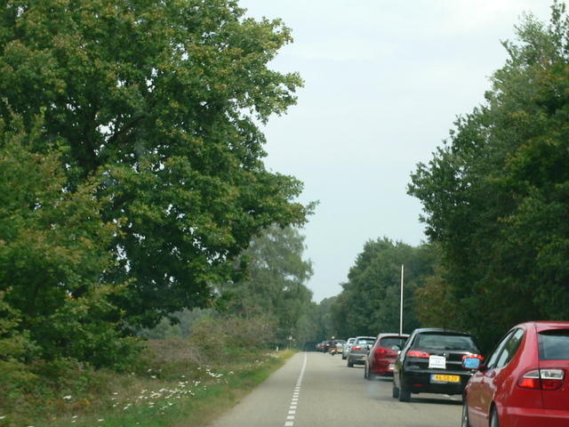 P1000828