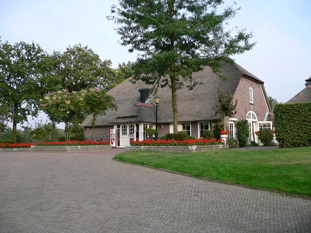 P1000894