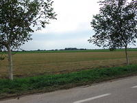 DSC06270