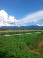 IMG_20140803_171739