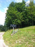 IMG_20140809_131853