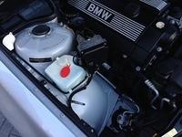 foto 12.JPG