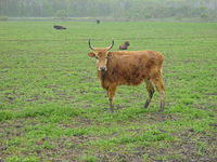 DSC02877.JPG