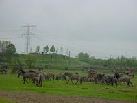 DSC02881.JPG