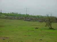 DSC02888.JPG