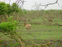 DSC02889.JPG