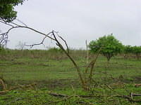 DSC02891.JPG