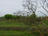 DSC02892.JPG