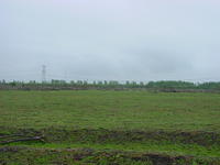 DSC02893.JPG