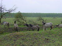 DSC02894.JPG