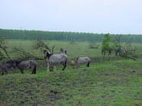 DSC02895.JPG