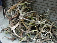 DSC02901.JPG