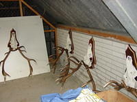 DSC02902.JPG