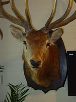 DSC02903.JPG