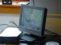DSC02906.JPG