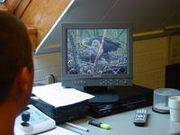 DSC02907.JPG