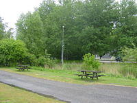 DSC02908.JPG