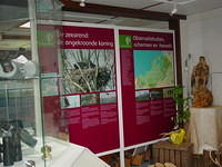 DSC02910.JPG