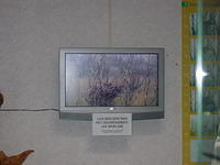 DSC02911.JPG