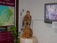 DSC02913.JPG