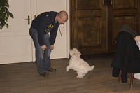 IMG_3658.jpg